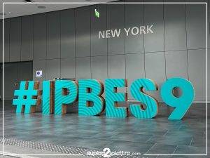 Lettres xxl carton légères